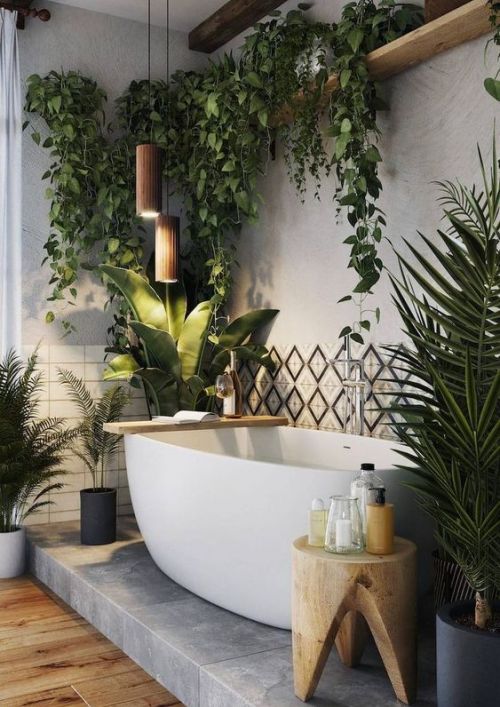 Salle de bain remplie de plante