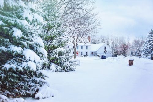 L'hiver du Québec : hivernage passif