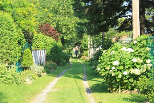 Achat maison Rosemont–La Petite-Patrie ruelle verte