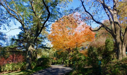 Park and nature in Westmount