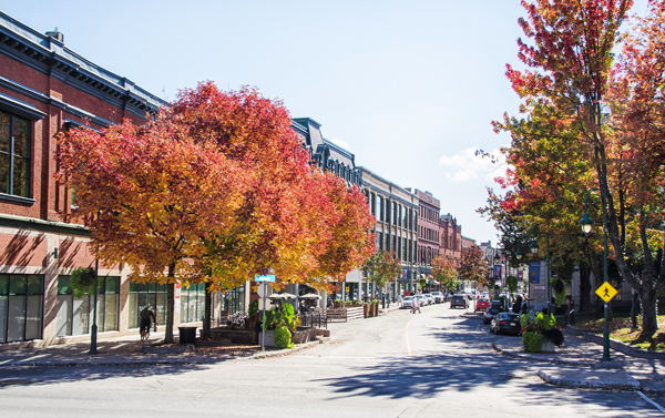 Le marché de l’immobilier à Sherbrooke en 2019 : bilan, prix et perspectives
